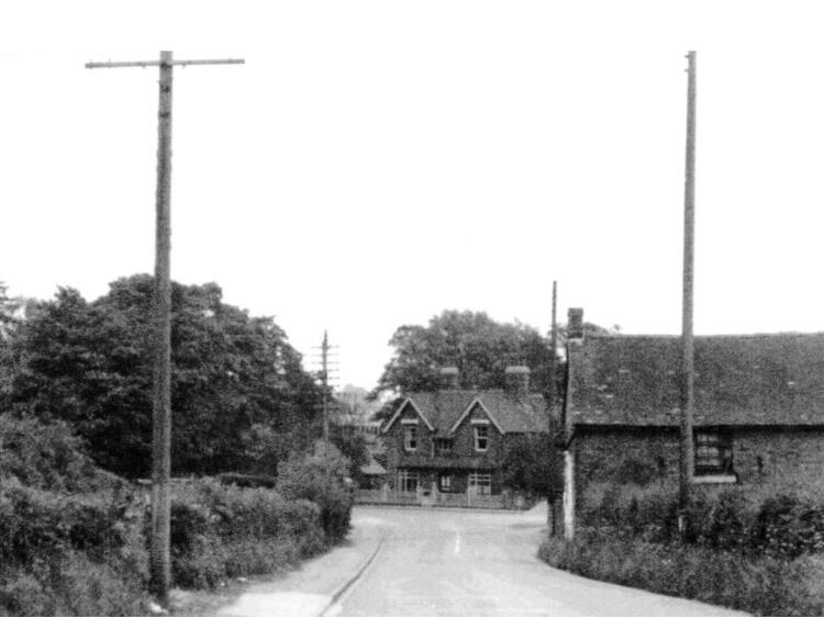 View along a lane towards cottages, with telegraph poles.