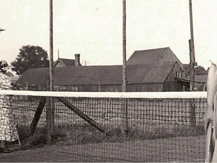 Timber yard behind a wire fence.