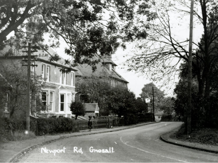 Postcard captioned &ldquo;Newport Rd, Gnosall&rdquo;, houses along a curving road.