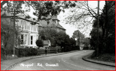 Large houses set back behind trees on Newport Road.